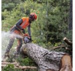 Husqvarna 562 XP – Bild 3