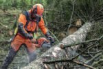 Husqvarna 550 XP G Mark II 15" 2020 – Bild 4
