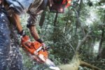 Husqvarna 555 18 Zoll Benzin-Kettensäge – Bild 3